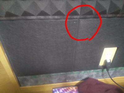 スタジオ部屋内の虫ピン