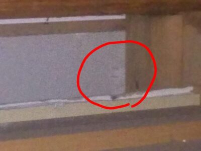 点検口内のココに出てきた