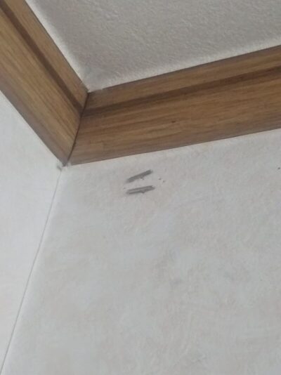 T型虫ピンを刺すと…