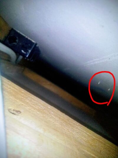 コンセントと虫ピンが見える