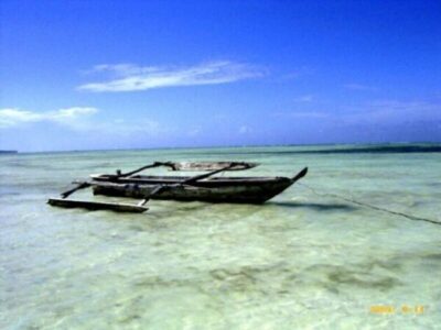 遠浅の海